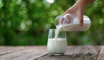 Çiğ süt desteği ödemelerinin esasları belli oldu